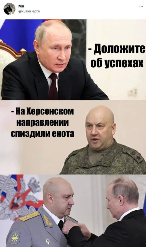 Доложите об успехах про енота