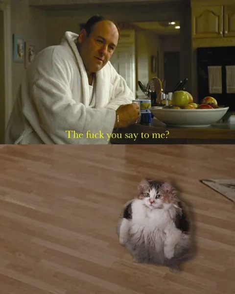 The Fuck You Say to Me Cat