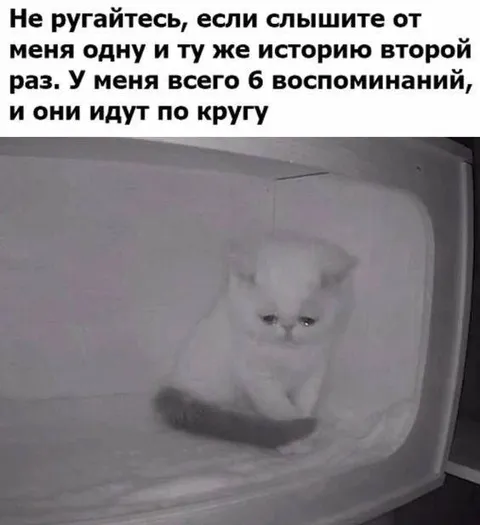 Шесть воспоминаний по кругу