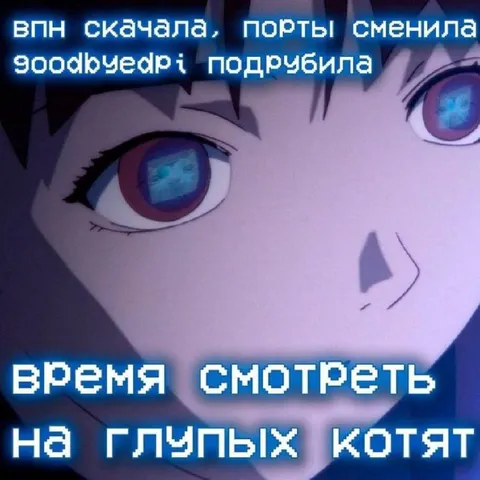 Время смотреть на глупых котят
