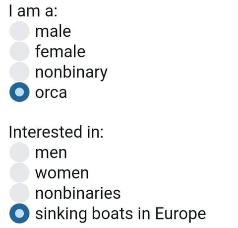 Orca Interested in Sinking Boats
