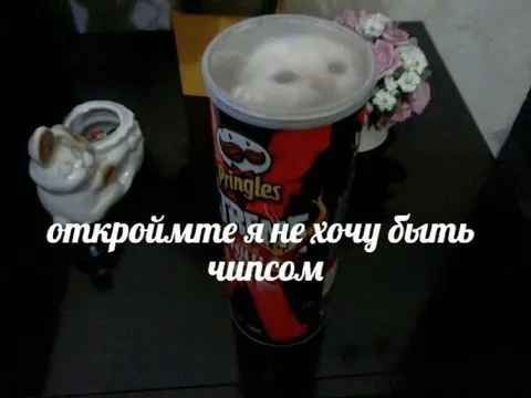 Не хочу быть чипсом