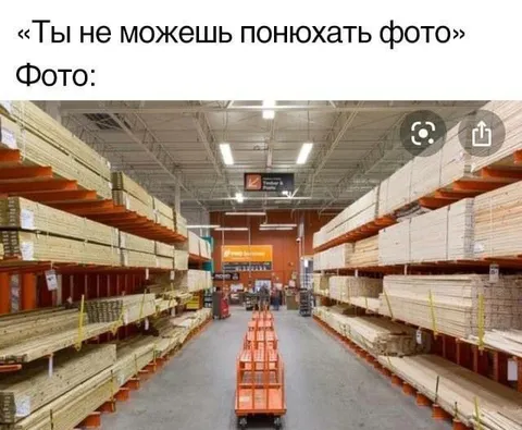 Фото, которое нельзя понюхать
