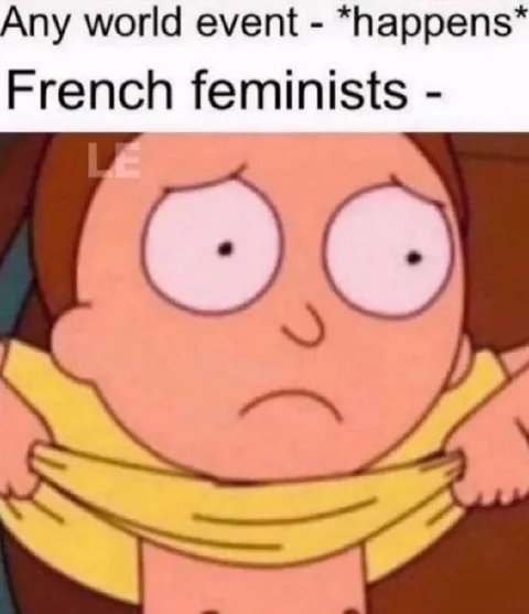 French Feminists React