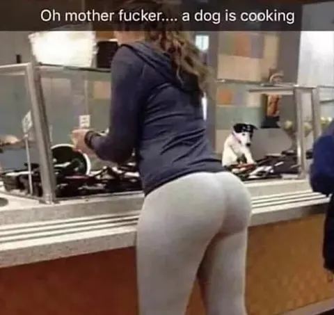 A Dog Is Cooking