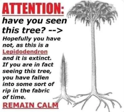 Extinct Tree Time Rip