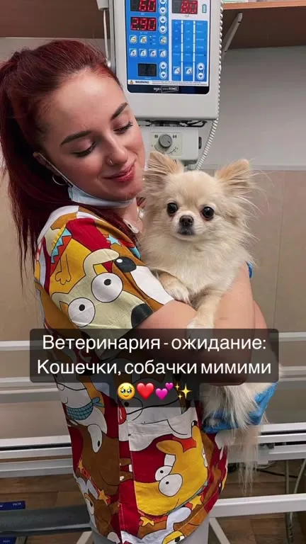 Ветеринария: ожидание и реальность