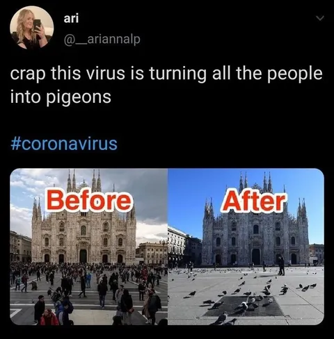 Coronavirus Turns People Into Pigeons