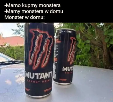 Monster w domu