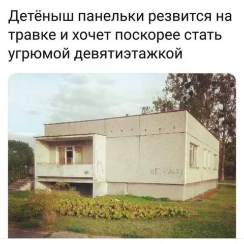 Детёныш панельки на травке