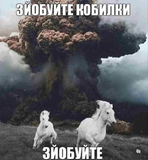 Зйобуйте кобилки