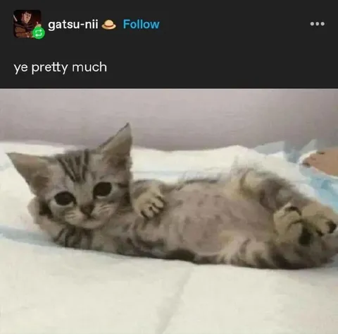 Ye Pretty Much Kitten