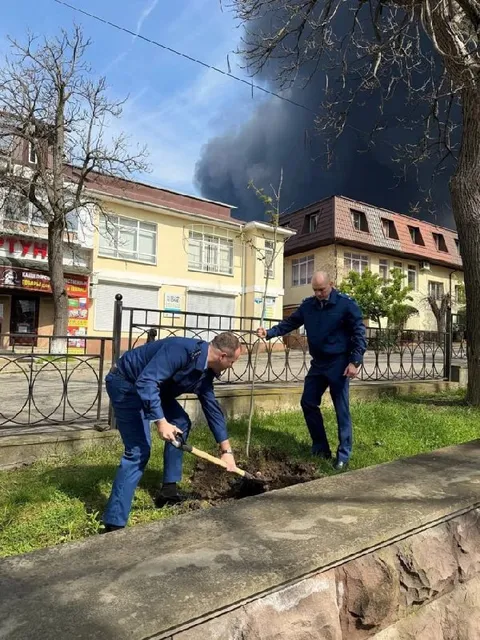 Озеленение на фоне пожара