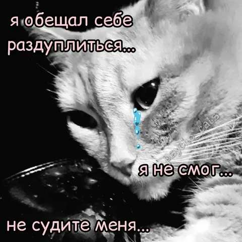 Я обещал себе раздуплиться