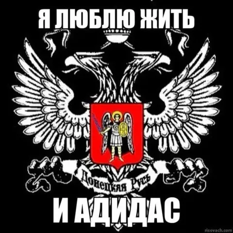 Я люблю жить и Адидас