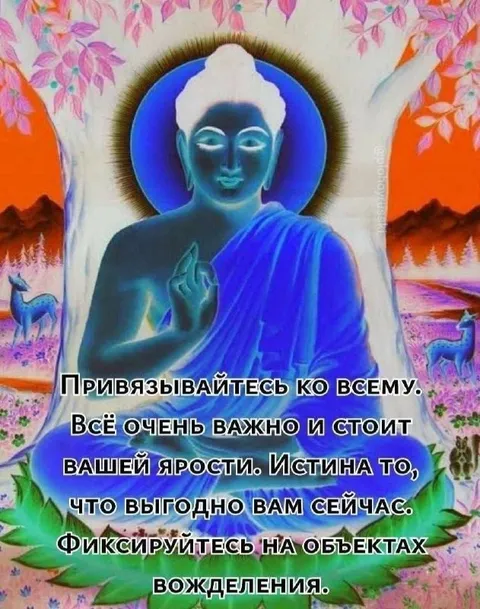 Буда о привязанности и ярости