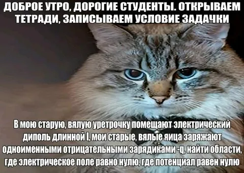 Доброе утро, дорогие студенты