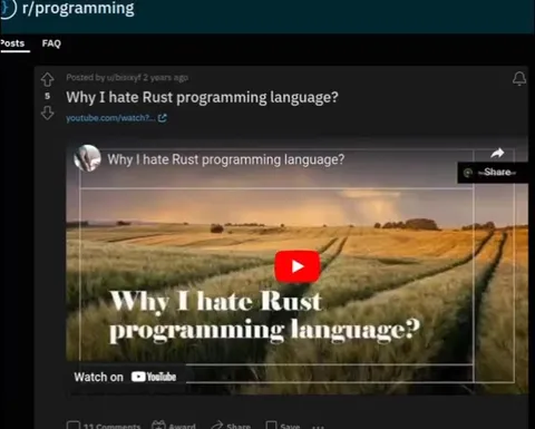 Why Everyone Hates Rust