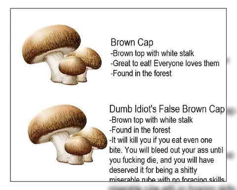 Dumb Idiot's False Brown Cap