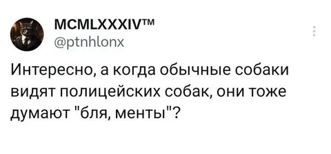Собаки видят полицейских собак