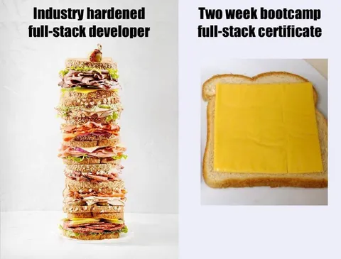 Full-Stack Developer Sandwich Comparison