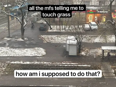 Touch Grass in Winter