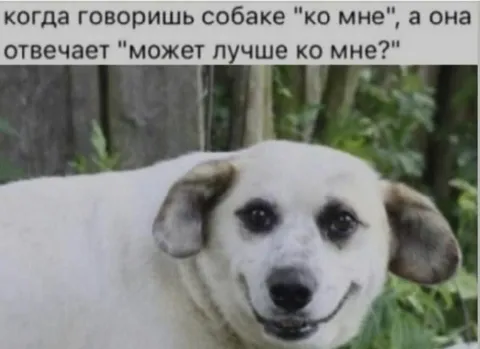 Может лучше ко мне?