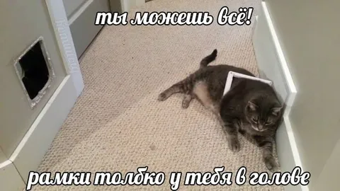 Рамки только у тебя в голове