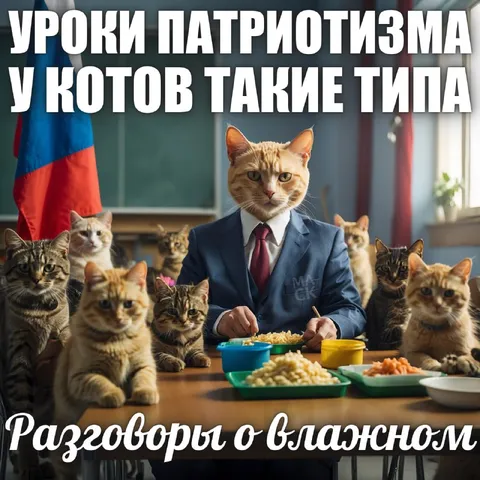 Уроки патриотизма у котов