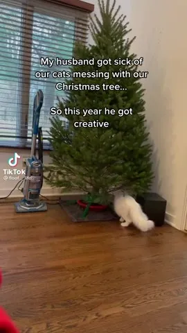 Christmas Tree Cat-Proofing