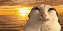 Улыбающийся зверёк на закате