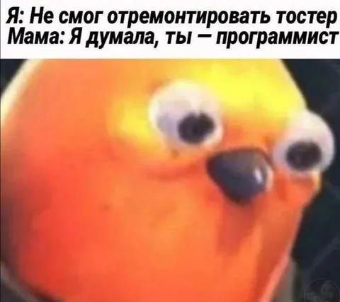 Мама думала, что ты программист
