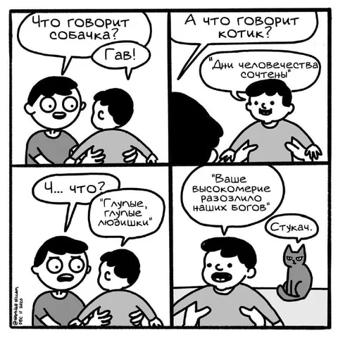 Котик предсказывает конец человечества