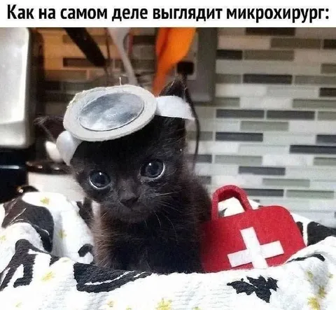 Как выглядит микрохирург