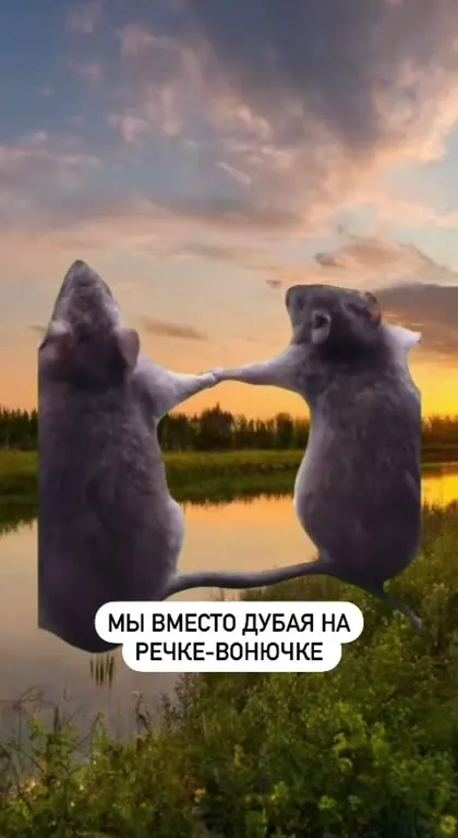 Вместо дубая на речке Вонючке