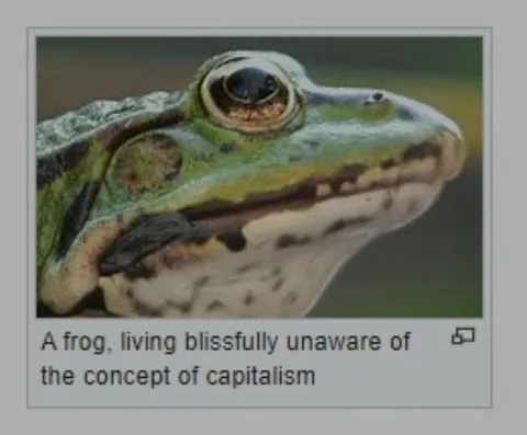 Frog Unaware of Capitalism