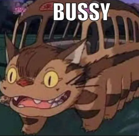 Bussy Catbus