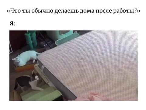 Что делаешь дома после работы