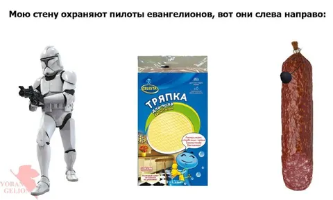 Пилоты евангелионов охраняют стену