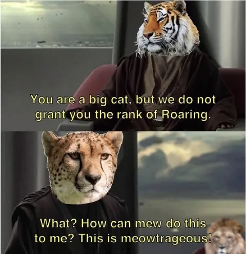 Tiger Denied the Roaring Rank