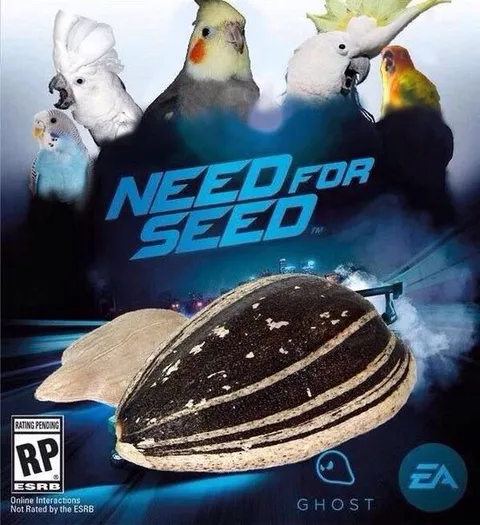 Birds Need for Speed Parody