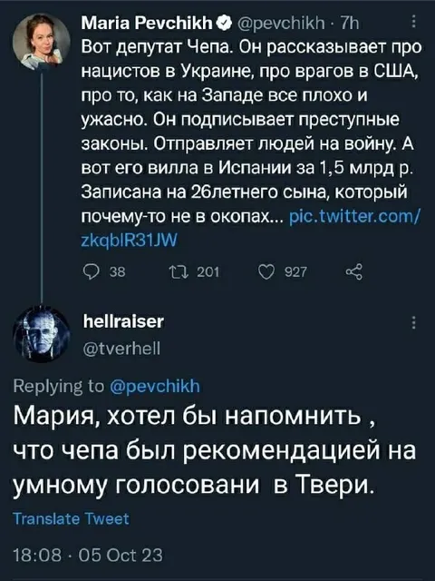 Чепа и умное голосование