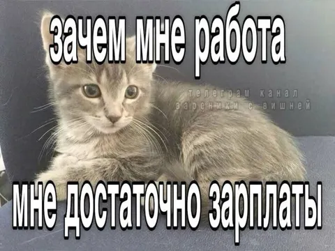 Зачем мне работа, мне достаточно зарплаты