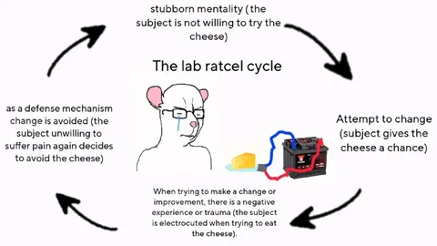 The Lab Ratcel Cycle