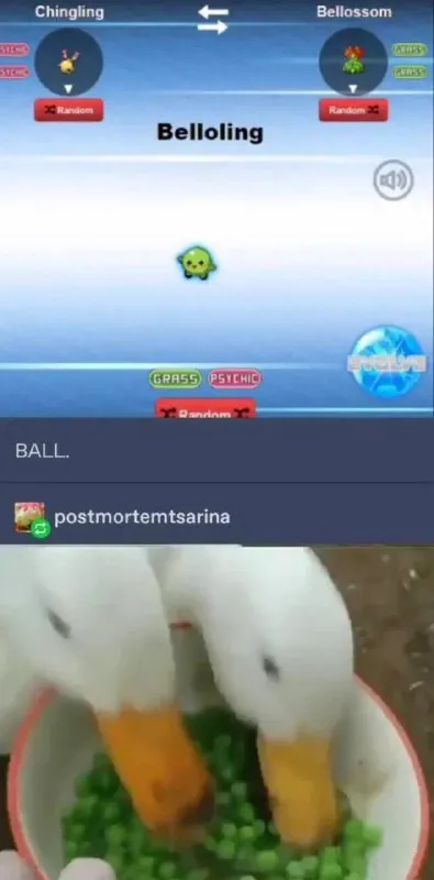 Bellolling Ball Evolution