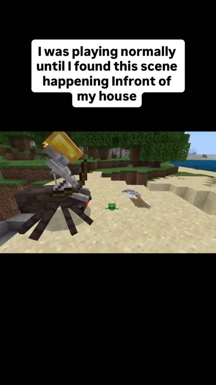 Minecraft Skeleton Spider Beach Chaos