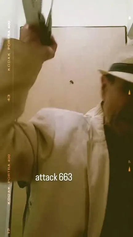 Attack 663 in Action