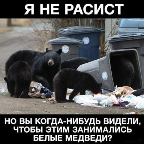 Я не расист, но белые медведи