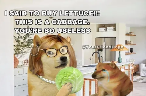 I Said to Buy Lettuce