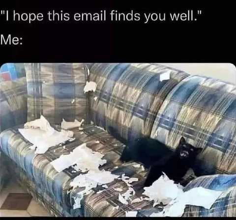 I Hope This Email Finds You Well